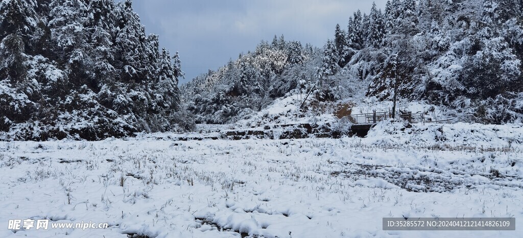 雪景