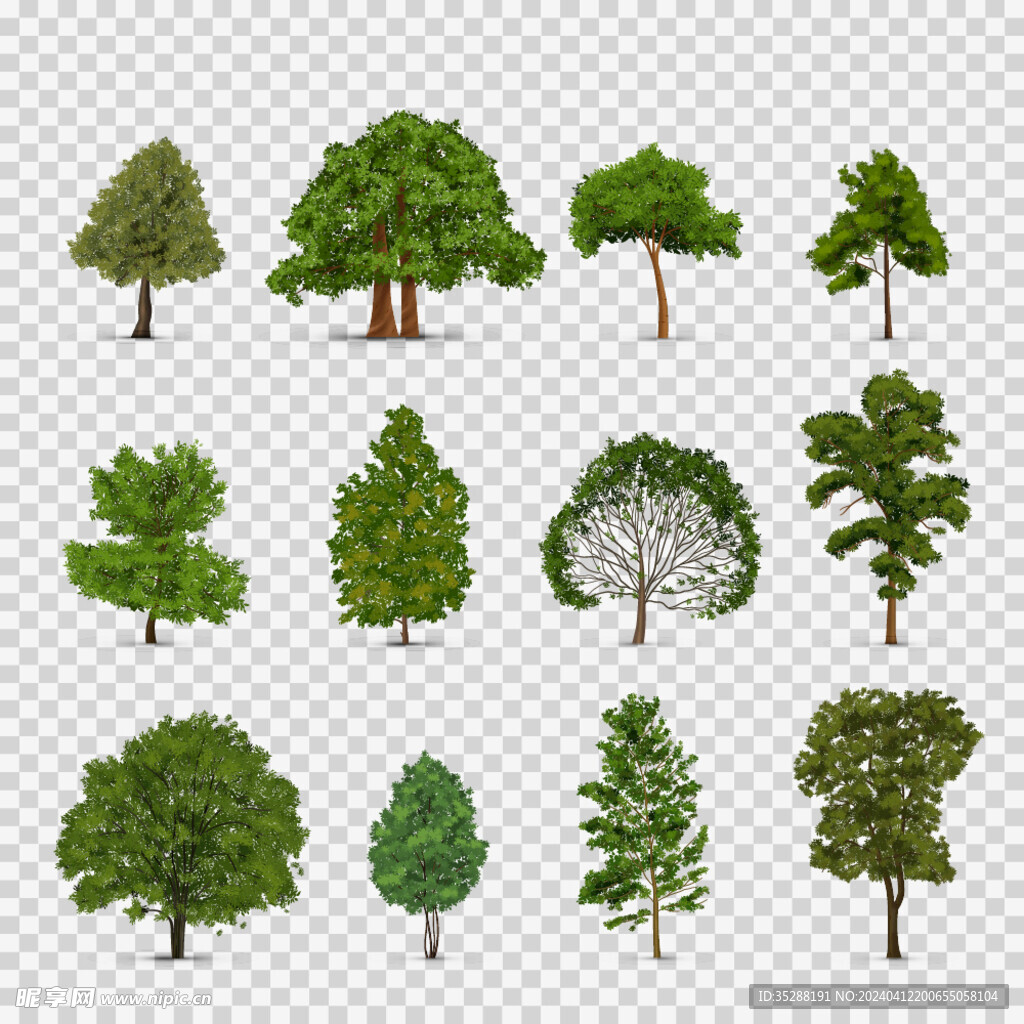树木绿植AI矢量文件
