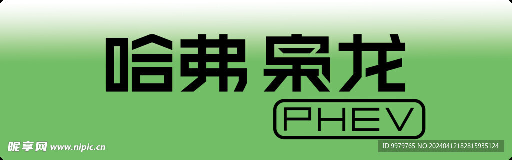 哈弗枭龙 PHEV 车牌