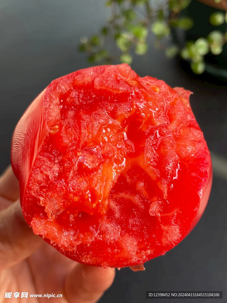 西红柿