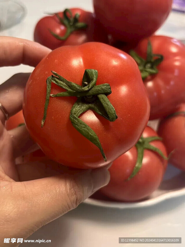 番茄