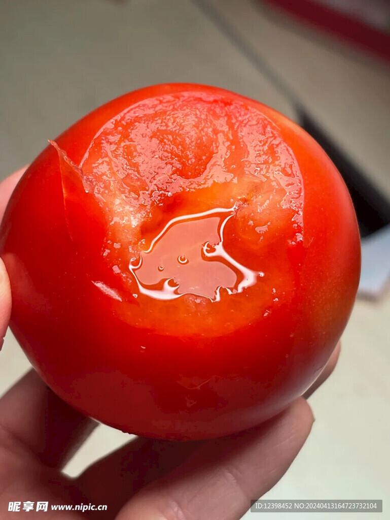 西红柿