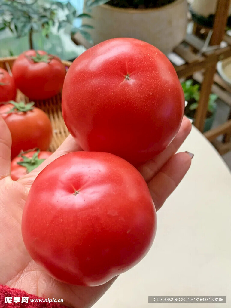 番茄