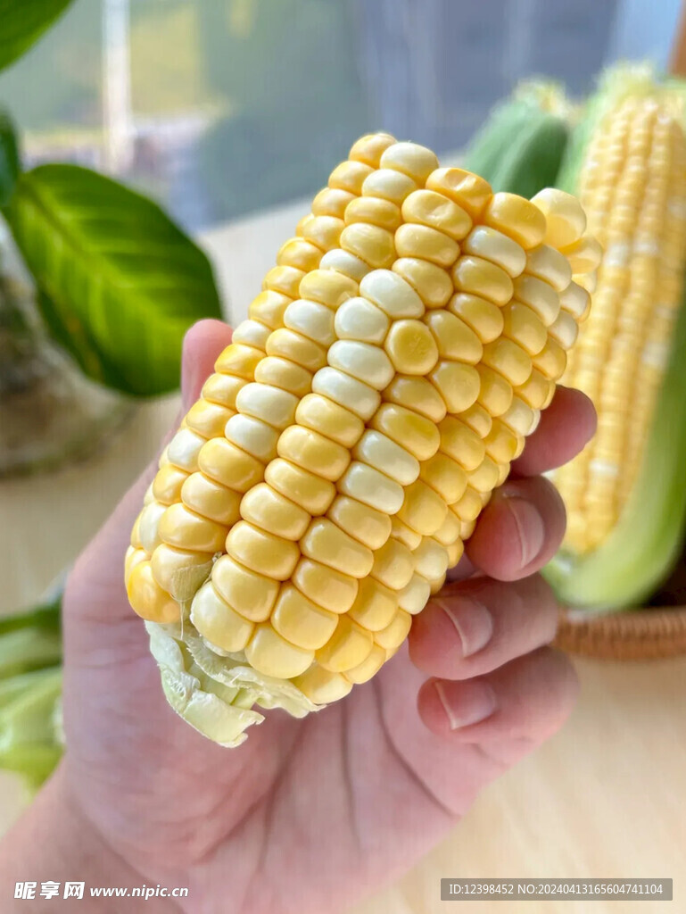 玉米