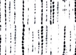 扎染
