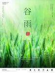 谷雨图片