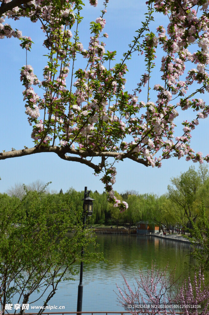 公园风景  