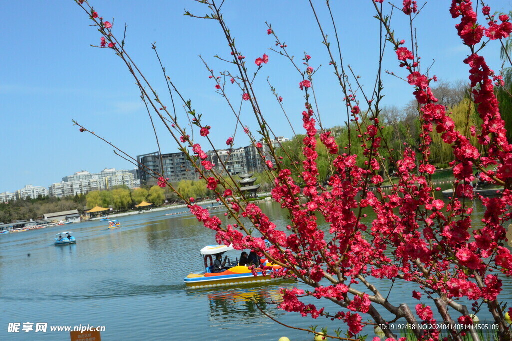 公园风景  