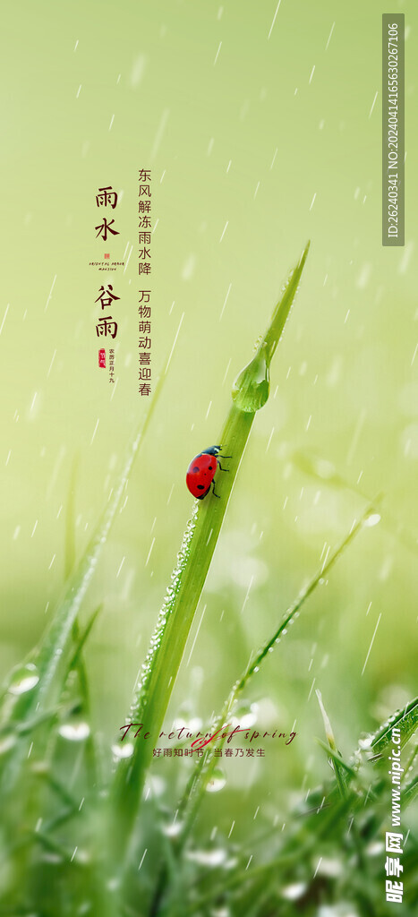 谷雨