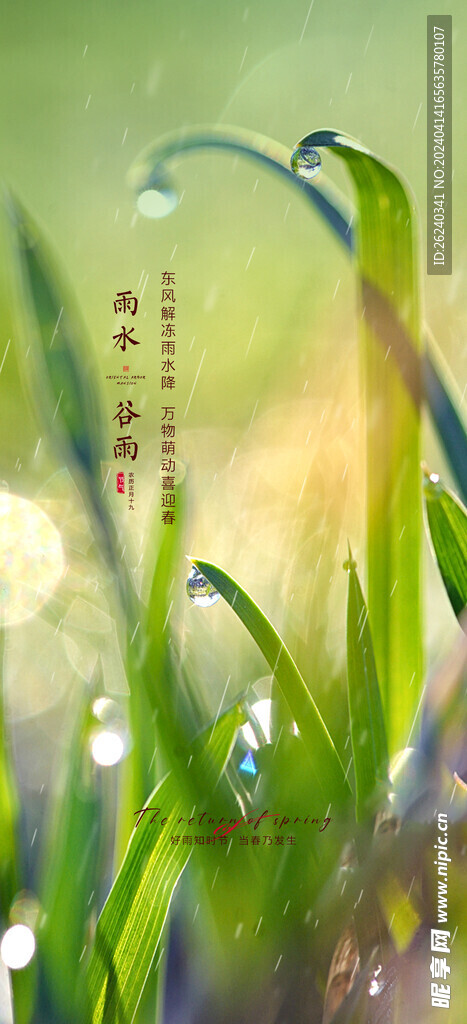 谷雨