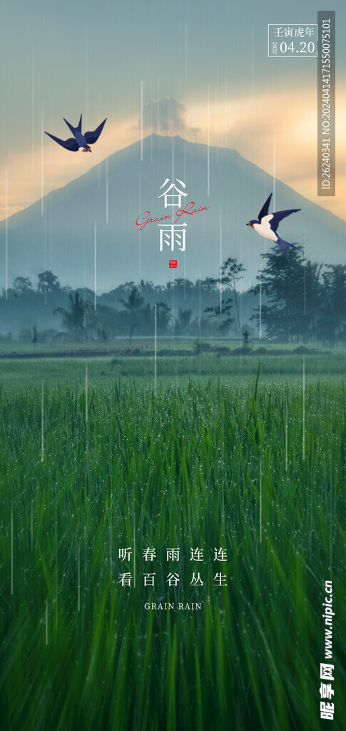 谷雨
