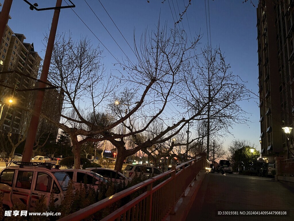 夜景路边