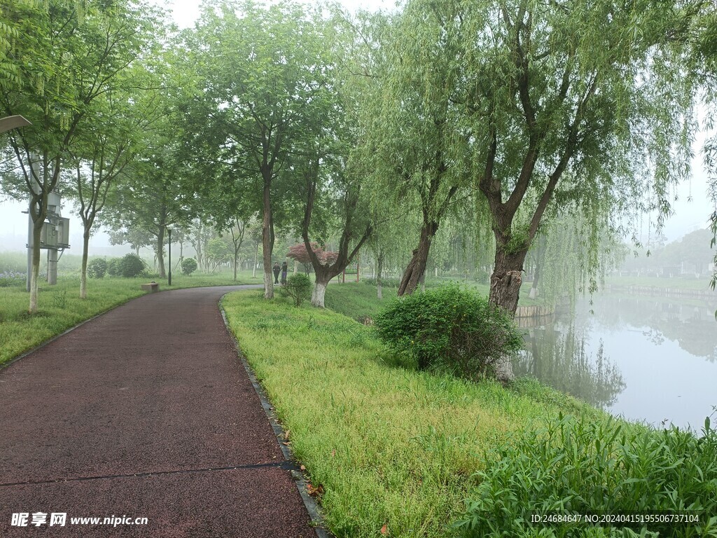 风景 公园  道路 