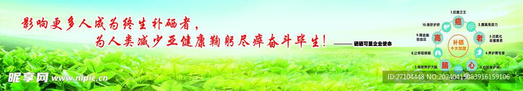 硒的功效