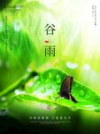 节气海报