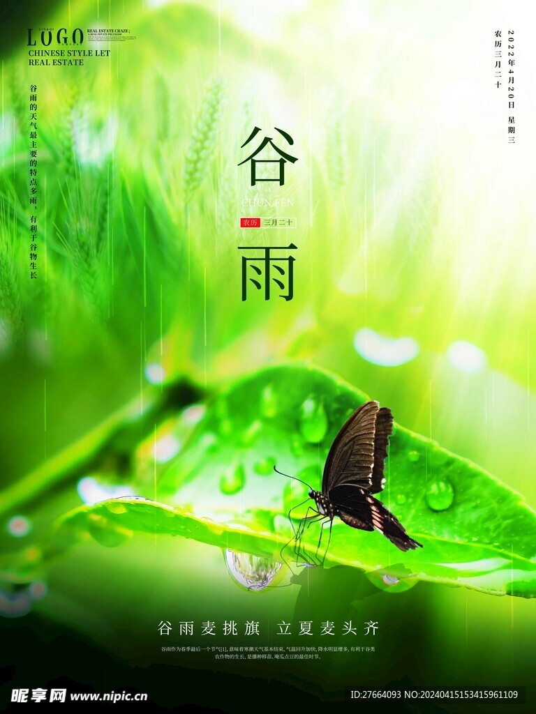 节气海报