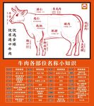 牛肉部位名称