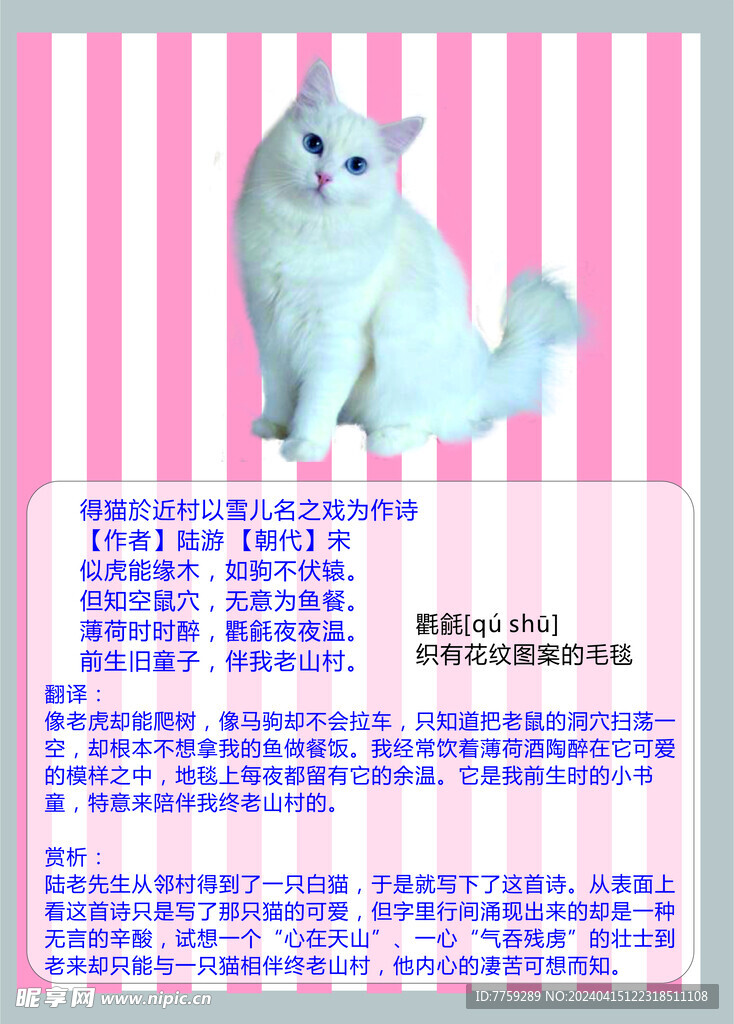 白猫-雪猫-陆游诗-得猫於近村