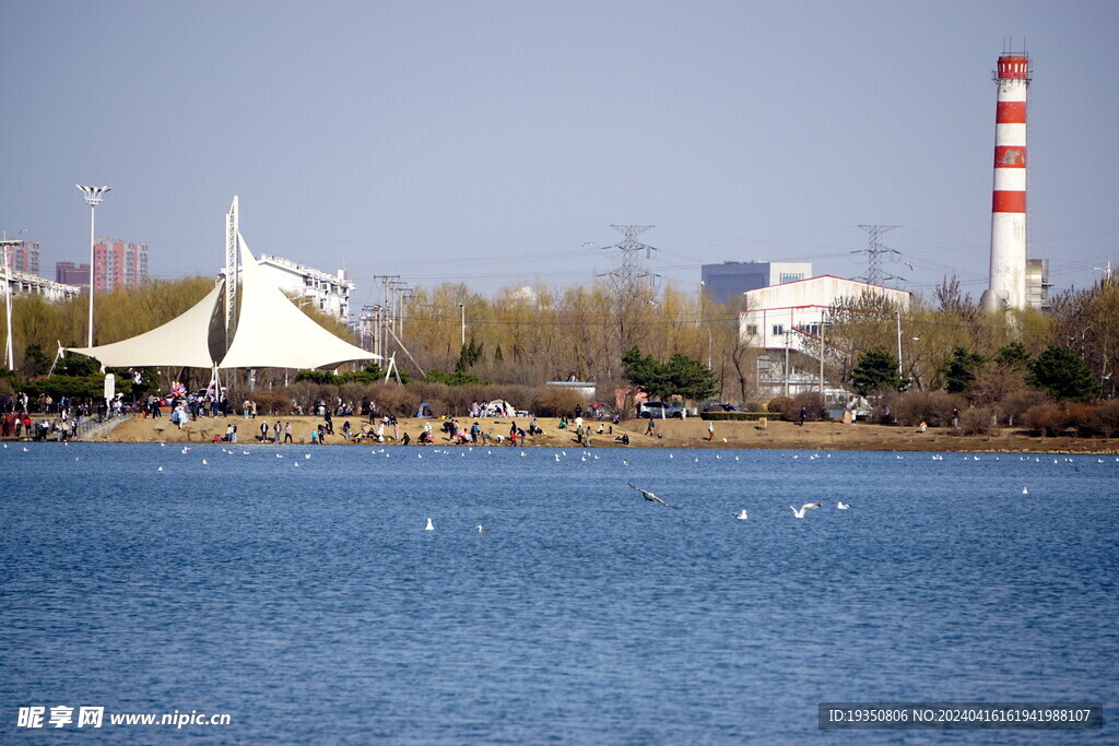 初春沈阳丁香湖景色