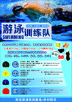 游泳训练队海报