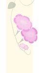 牵牛花