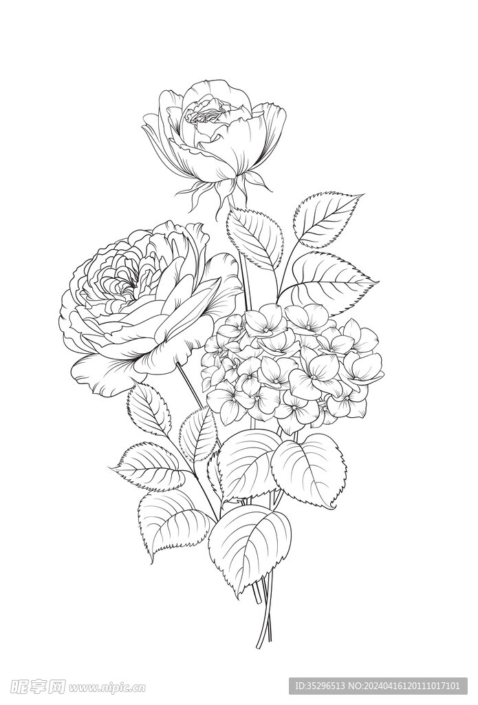 黑白手绘线条玫瑰花