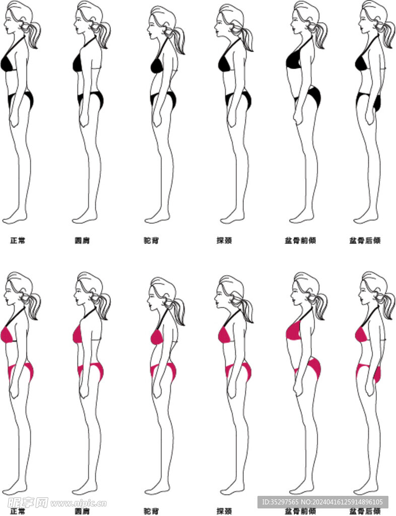 体态体姿矫正对比矢量图