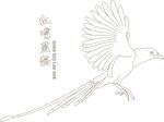 红嘴蓝鹊线稿