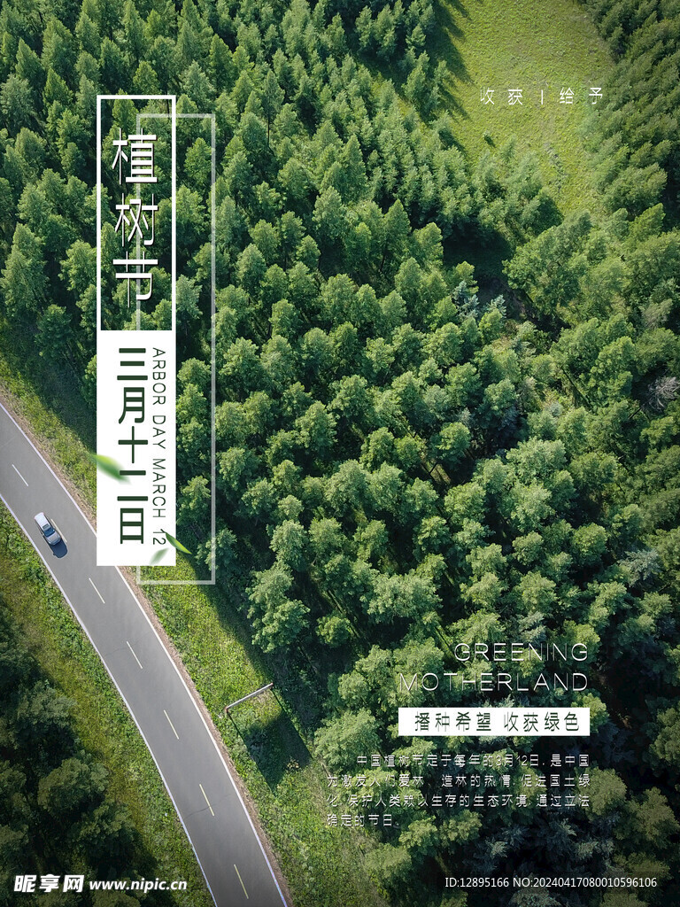 植树节