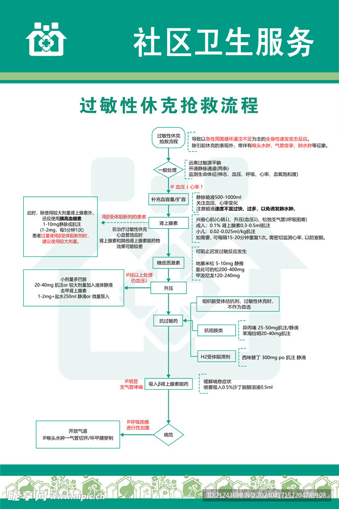 过敏性休克抢救流程展