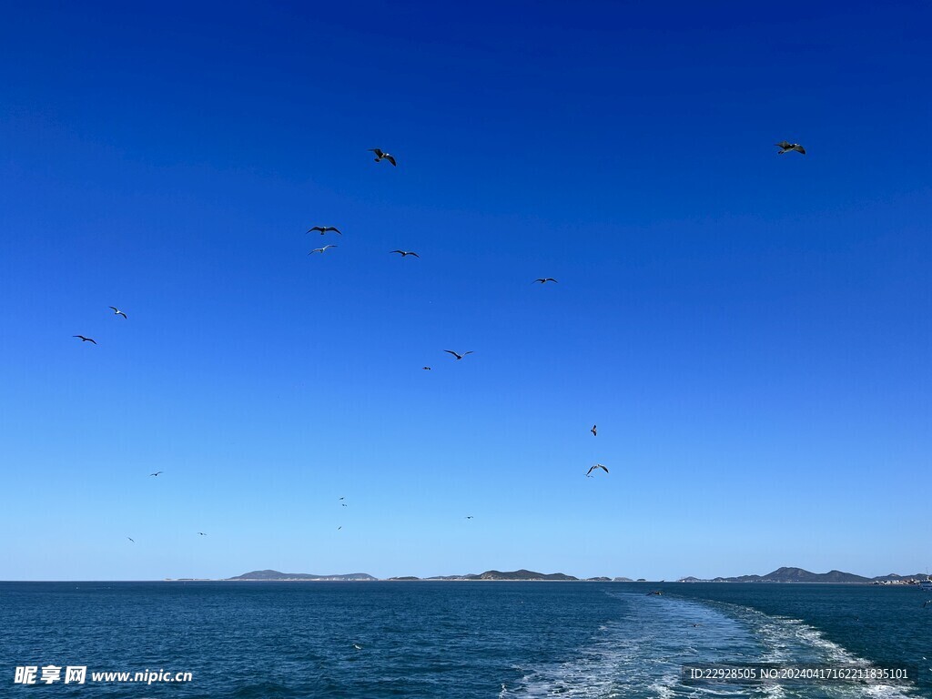 鸥浪