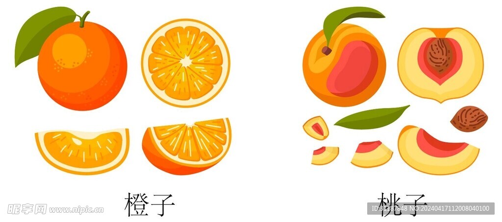 橙子、桃子水果矢量切片