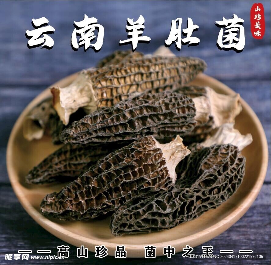 云南羊肚菌海报