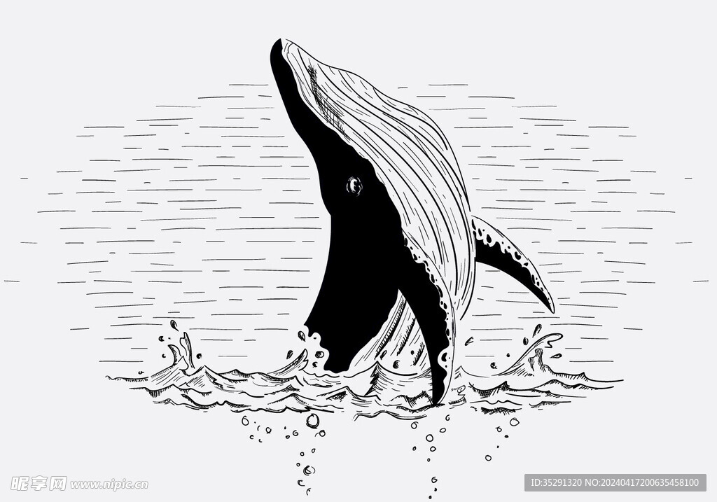 鲸鱼插画