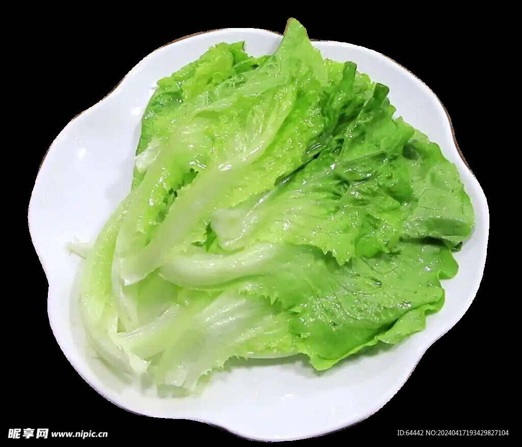 生菜