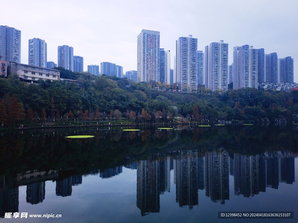 城市湿地公园湖泊