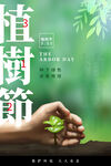 植树节
