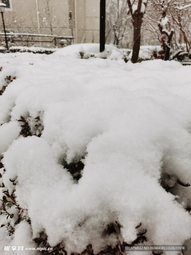 积雪