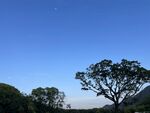 蓝色天空