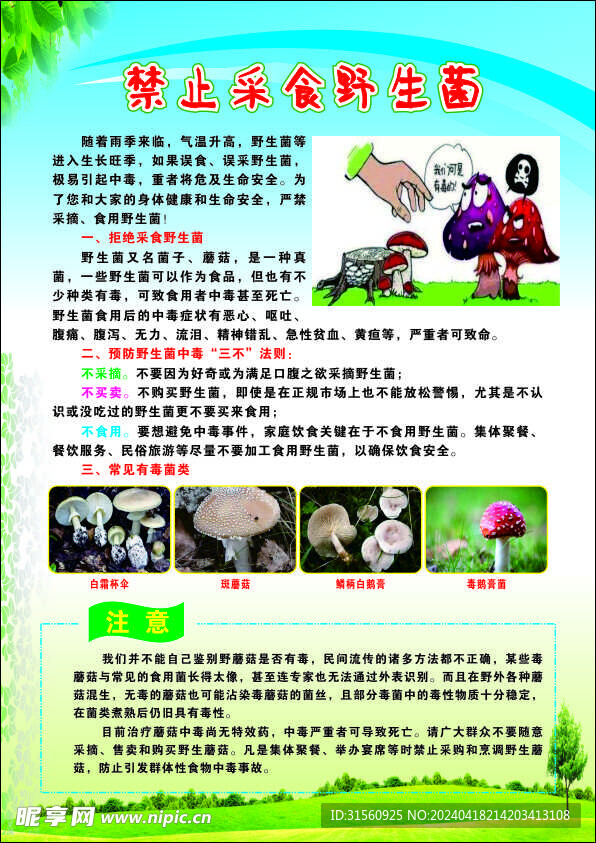预防蘑菇中毒宣传单