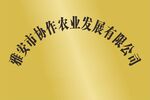 钛金牌