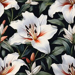 百合花卉图案，四方，连续，简约，简单，白色