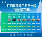 五菱新能源下乡补贴