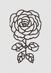 花纹