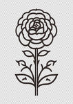 花纹
