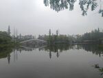湖景