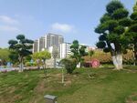园林景观