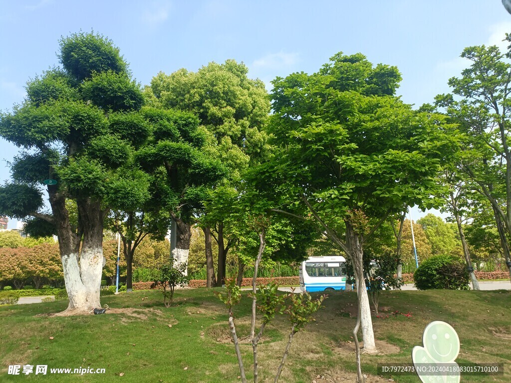 园林景观