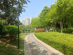 城市园林