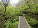 旅游园区